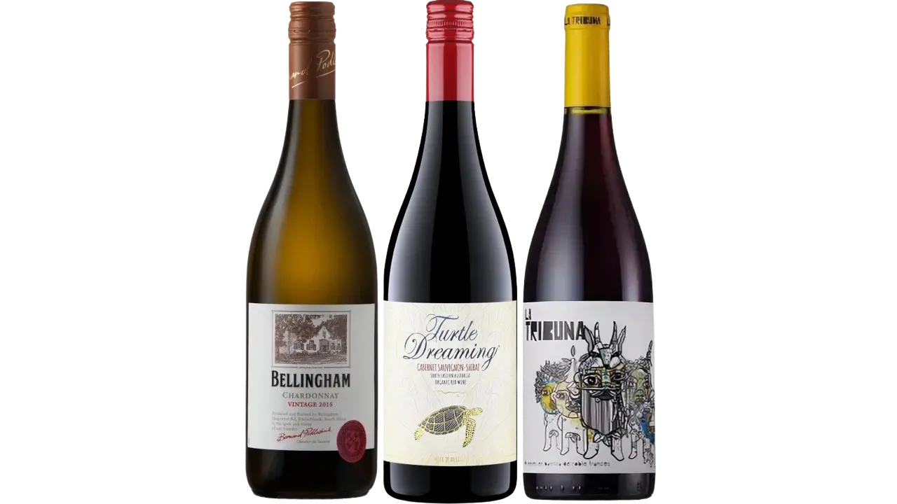 Новосветские дамы